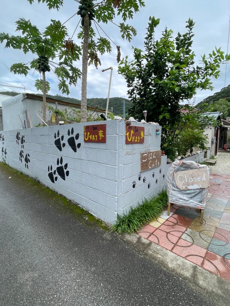 Beautiful beach view representing the benefits of Okinawa living.