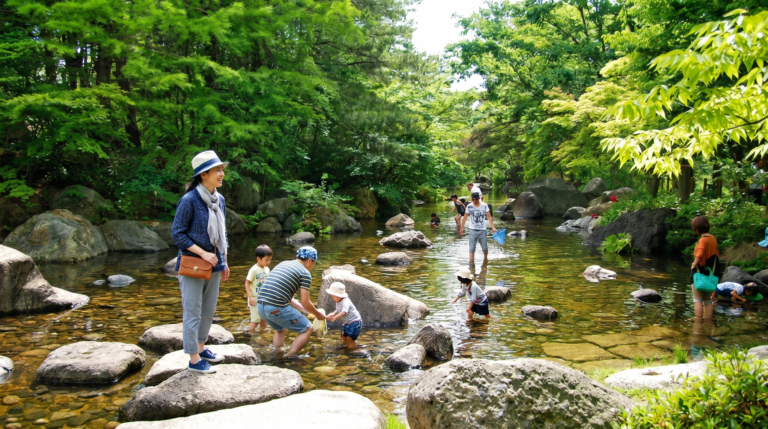 Alt text: “Tree‑lined promenade in a park area of Niigata City, Japan, showing open sky and people enjoying a calm weekday.”